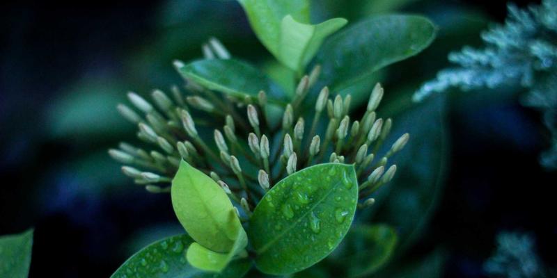 护肤成分搭配禁忌大全：哪些明星成分不能混用？科学避免烂脸风险